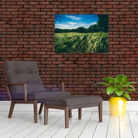 Tablou cu linca și pădure (70x50 cm)