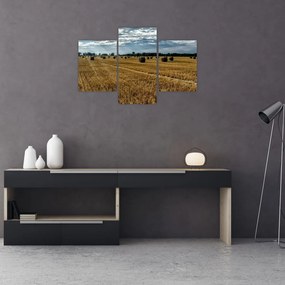 Tablou cu câmp recoltat (90x60 cm)