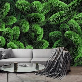 Fototapet - Ramuri de conifere (147x102 cm)