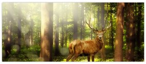 Tablou cu cerbul în pădure (120x50 cm)