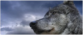 Tablou - Cap de lup (120x50 cm)