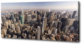 Tablou canvas New york pasăre de zbor