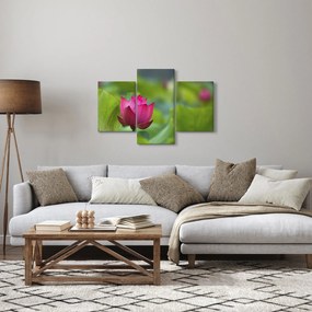 Tablou - floare de apă (90x60 cm)
