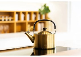 Ceainic auriu din oțel inoxidabil 1,5 l Diamante – Vialli Design