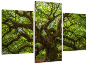 Tablou - Copac verde (90x60 cm)