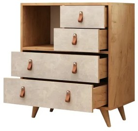 Dulap WITLOF 87x70 cm maro/gri