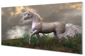 Tablouri acrilice nori Unicorn