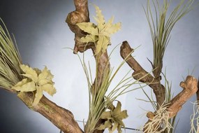 Aranjament floral elegant EASTER GRASS, 60x50cm