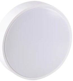Plafonieră LED pentru baie RENE LED/15W/230V IP44 albă