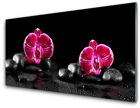 Tablouri acrilice Pietrele florale flori Negru Roșu