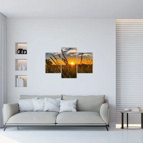 Tablou cu câmp în apus de soare (90x60 cm)