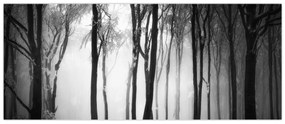 Tablou - Lup în pădurea întunecată (120x50 cm)