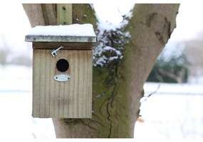 Căsuță pentru păsări din lemn – Esschert Design