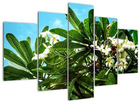 Tablou - Plumeria (150x105 cm)