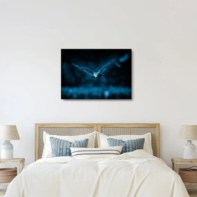 Tablou pe sticlă cu bufnița zburând (70x50 cm)