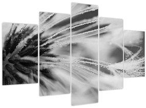 Tablou - Macro,alb-negru (150x105 cm)