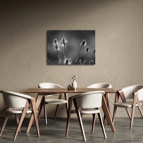Tablou - Iarbă moale bej N⁰2 (70x50 cm)