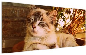 Tablou cu pisica în ghiveci (120x50 cm)