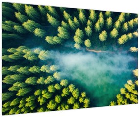 Tablou - O pădure învăluită în ceață (90x60 cm)