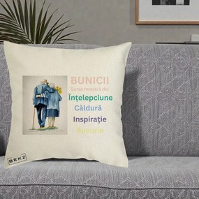 Cadou pentru Bunici - Perna Personalizata Bunicii Sursa Intelepciune Caldura Acuarela, 40x40 cm, Ecru, Husa Detasabila, Perna Inclusa, BEKZ®