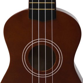 Set de ukulele soprano, pentru copii, cu husa, 21  , lemn inchis Maro inchis, 21