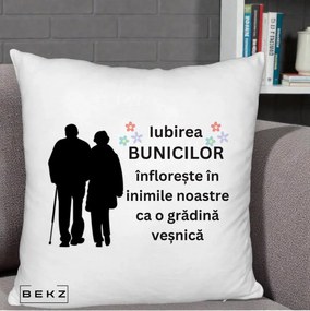 Cadou pentru Bunici - Perna Personalizata Bunicii Iubirea Infloreste Silueta Neagra Flori, 40x40 cm, Alb Pufos, Husa Detasabila, Perna Inclusa, BEKZ®