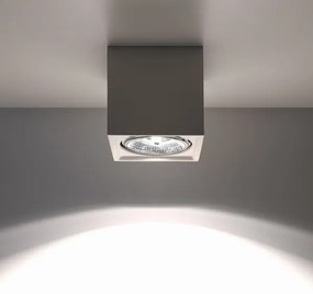 Plafonieră SEIDA 1xGU10/40W/230V