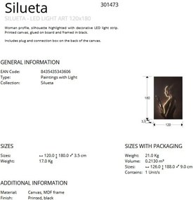 Tablou de perete decorativ cu iluminat Silueta