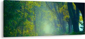 Tablou cu drum dea lungul cu copaci (120x50 cm)