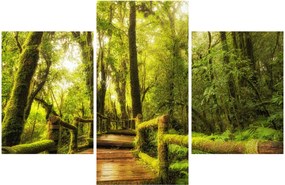 Tablou junglei cu mușchi (90x60 cm)