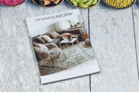 ANDRE 33200 covor lavabil Condimente, bucatarie, anti-alunecare - argint / bej