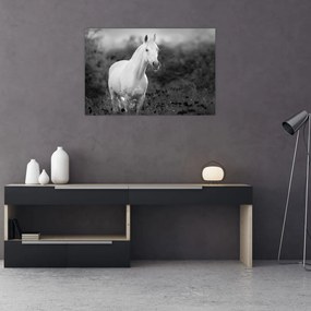 Tablou - Cal alb în poină (90x60 cm)