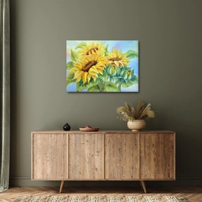 Tablou - Floarea soarelui înflorită (70x50 cm)