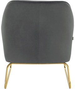 Fotoliu gri cu tapițerie din catifea Joshua - Støraa