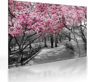 Tablou pe sticlă copacului magnolie (70x50 cm)