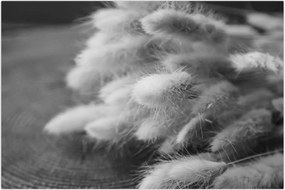 Tablou - iarbă de coadă de iepure pe masă (90x60 cm)