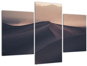 Tablou - Valuri de nisip (90x60 cm)