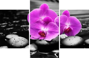 Tablou - Orhidee violet (90x60 cm)