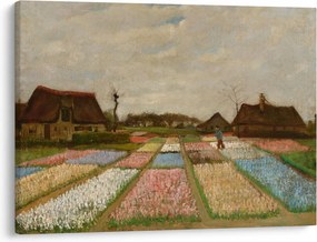Tablou - Vincent van Gogh, Flower Beds in Holland, reproducere (70x50 cm)