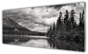 Tablou pe sticla Mountain Forest Lake Nature Gray