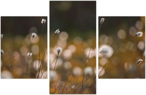 Tablou - Pajiște cu iarbă de cozonac N⁰2 (90x60 cm)