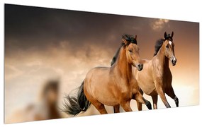 Tablou cu caii (120x50 cm), în 40 de alte dimensiuni noi