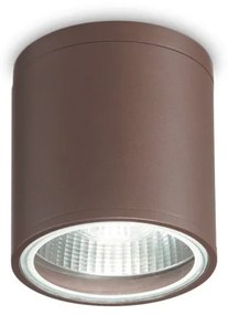 Spot aplicat IP44 GUN PL1 COFFEE 163666 IDL