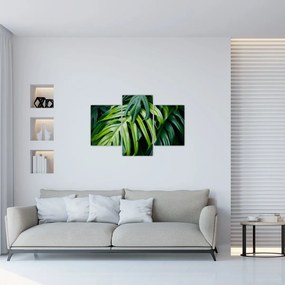 Tablou - Frunze tropicale (90x60 cm)