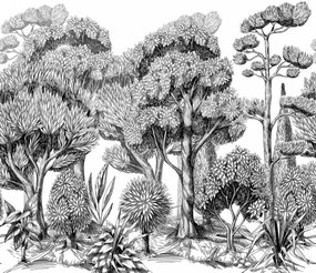 Fototapet, Forest Park, Graphite, Rebel Walls