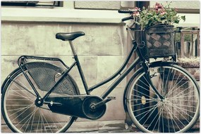 Tablou - Bicicleta de epocă cu flori (90x60 cm)
