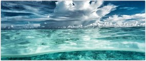 Tablou - privire sub nivelul mării (120x50 cm)