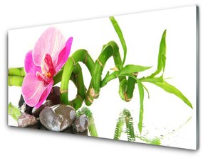 Tablouri acrilice Flori Floral Roz Verde Gri Alb
