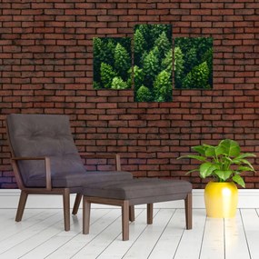 Tablou - Pădure (90x60 cm)