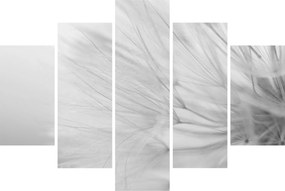 Tablou - Dandelion (150x105 cm)